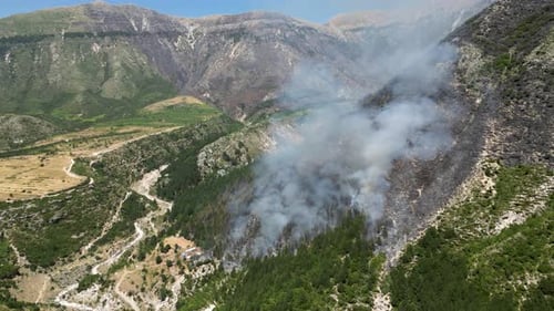 Un incendie de forêt ravage la forêt