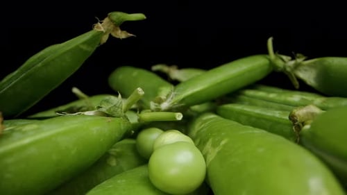 Many Green Pea Pods, Fresh Peas falling onto them. Dolly slider, close-up. On a black background.