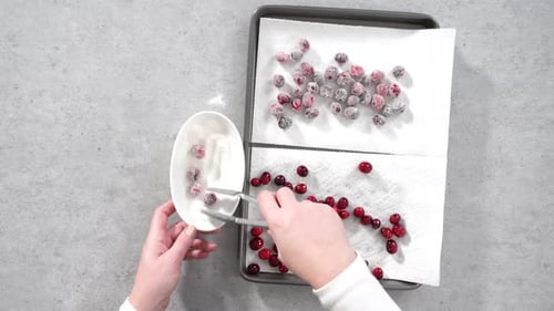 Flat Lay Step By Step Prepating Sugar Cranberries with Organic Cranberries and White Sugar