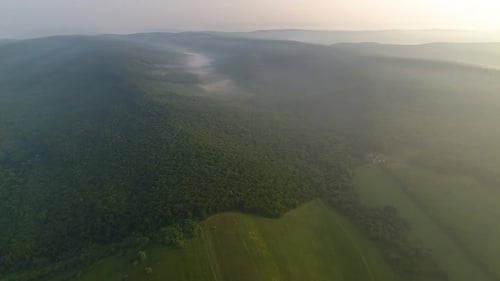 vue aérienne du brouillard au-dessus d'une forêt pendant le lever du soleil en été