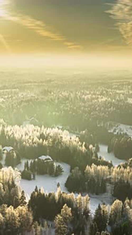 Lumière dorée du lever du soleil sur un paysage forestier hivernal glacial