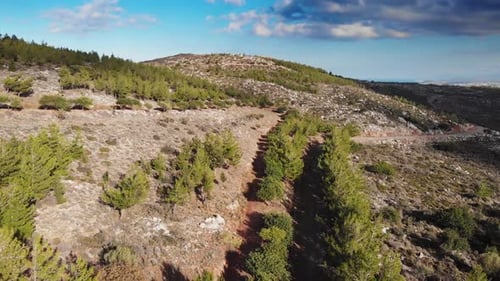 Dirt road amidst mountain landscape