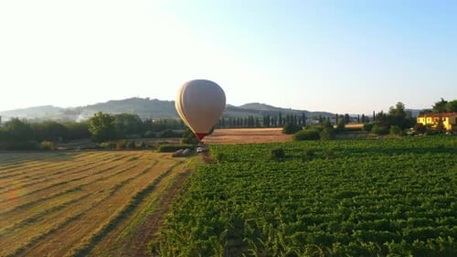 Aerial Drone Footage: Hot Air Balloon Flying Over the Beautiful Fields and Plantation with Mountain