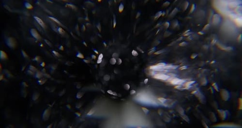 Round Shape Blur Glimmer Lens Flare Gleam Flicker