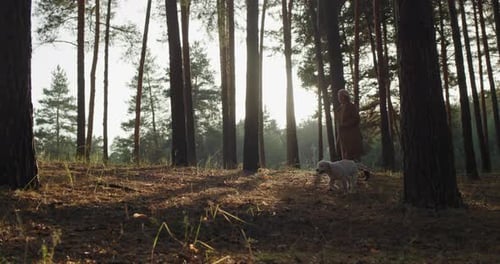 A Woman with a Dog Walks Among Tall Pines in the Forest