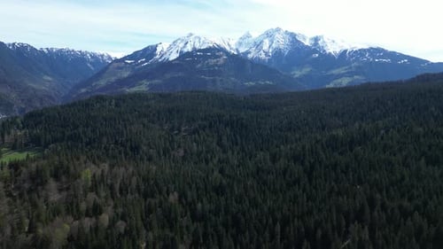 Profile view of Fronalpstock mountains during morning in Glarus, Switzerland with forest view in for