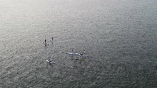 Paddleboarders Enjoying a Calm Day on the Water