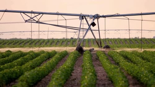 Center Pivot Irrigation