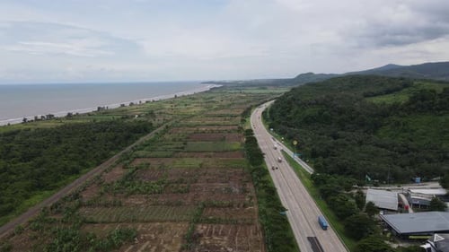 Aerial view of rice field and country road expressway in Pekalongan, Java Island, Indonesia.