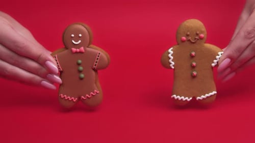 Social Diversity Ethnic Tolerance Gingerbread Man