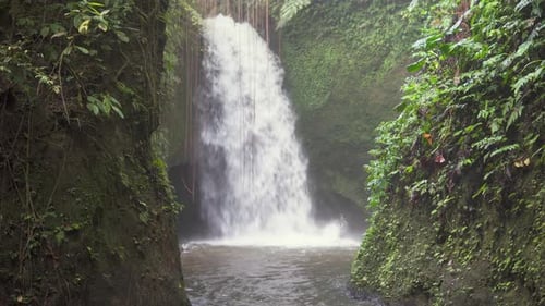 Awesome view of scenic waterfall among tropical forest in Bali