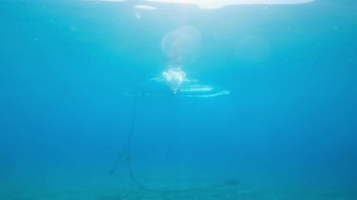 Tauchen Sie ein in das blaue Meer eines Profisportlers