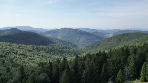 Mountain landscape during a summer day with mountains peaks, forest, lush greenery and trees.