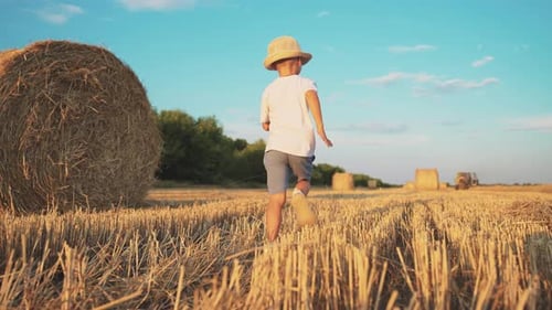 Back View Boy Running on Harvesting Field and Enjoy Haystacks Landscape
