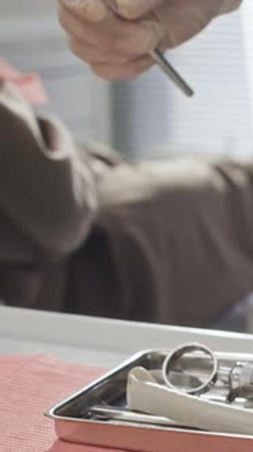 Dentist Examining Woman's Teeth with Mirror in Clinic