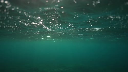 Sunlight sparkles on the surface of a calm ocean captured from beneath the water