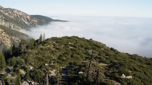 Sea of Clouds Formed Above Horizon Next To Huge Mountain Range During Summer, Aerial Flying Forward