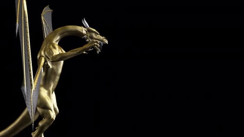 Golden Dragon - Frightening Loop - Side View CU - Alpha Channel