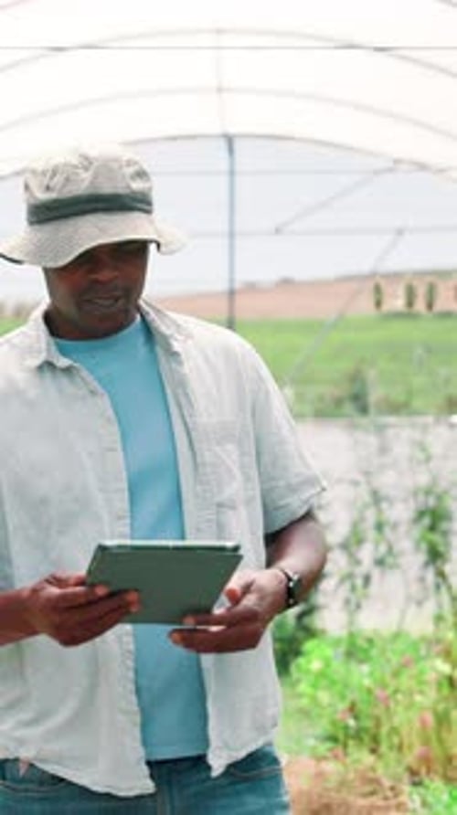 Black man, tablet and greenhouse with inspection on farm, quality assurance