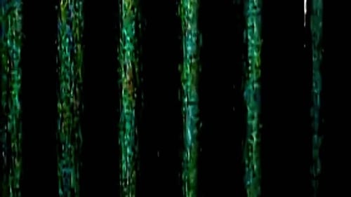 Fallo de distorsión de señal de ruido analógico (Vhs)