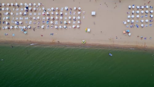 Drone Video Capturing a Topdown View of a Beach with Rows of Colorful Umbrellas Lined Up Perfectly