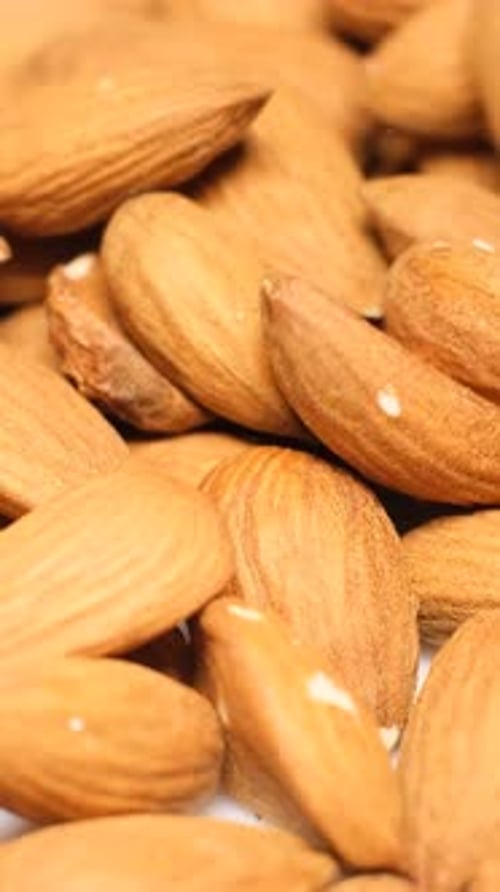 Macro Video of Freshly Picked Almonds Slowly Falling Into a Bowl Brown Nuts with a Thin Skin