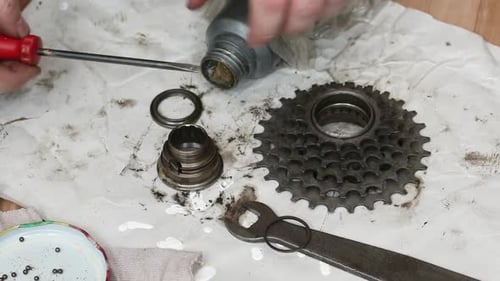 A Man Lubricates The Inner Housing Of A Mountain Bike Rear Wheel Ratchet.
