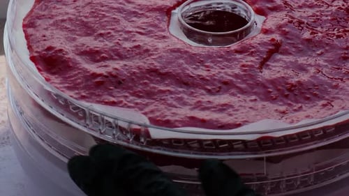 Preparing Homemade Fruit Leather in a Dehydrator
