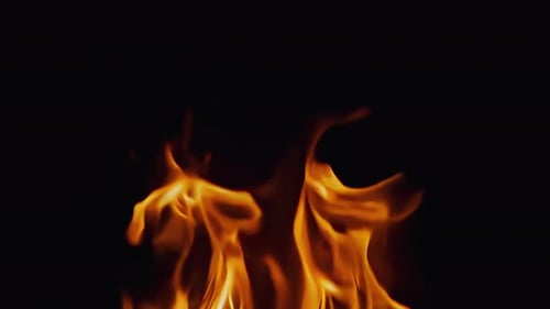Die fesselnden Flammen tanzen ausgelassen auf dunklem Hintergrund und schaffen eine bezaubernde Szene