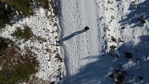Person Walking Snowy Path in the Winter