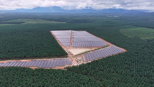 Aerial Solar Panel Array Near Oil Palm Plantation