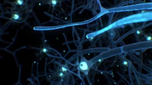 3D Neural Network Activity with Glowing Synapses Loop