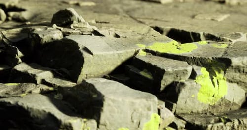 Textured Mossy Rocks Panning Nature Background