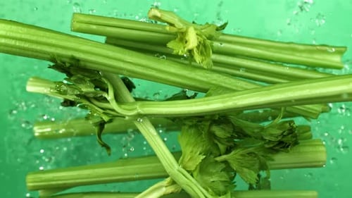 Close up of Fresh Celery Getting Washed