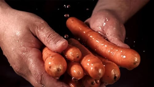 Carrots in Hand Filmed is Slow Motion 1000 Fps