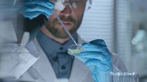 Lab Scientist Using Pipette to Transfer Liquid to Plant Cells in Petri Dish