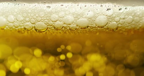 golden icy cold beer in extreme macro foam. clear beverage and bubbles of carbon dioxide.
fresh b