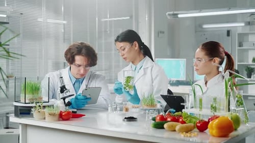 Asian Female Researcher Examines Green Seedlings in a Flask