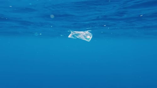 Plastic Bag Drifts Peacefully in the Clear Ocean