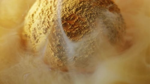 Ice Cream Scoop Surrounded by Ethereal Vapor