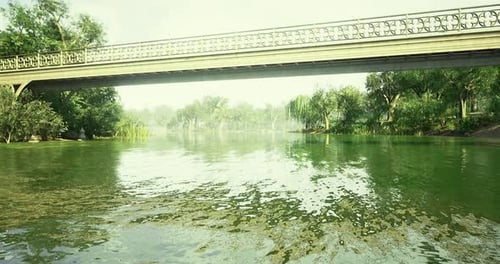 Beautiful Bridge Over Calm River Surrounded By Lush Greenery in Daylight