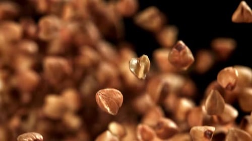Buckwheat Flies Up and Falls Down Filmed on a Highspeed Camera at 1000 Fps