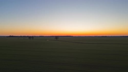 Ackerlandkulturen wachsen bei Sonnenuntergang auf einem riesigen Plantagenfeld - Luftbild