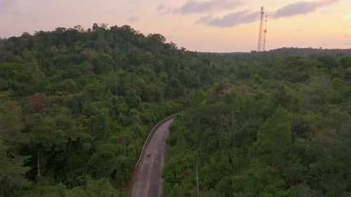 Aerial view of sunset trail cutting through tropical forest, Koh Kood, Thailand