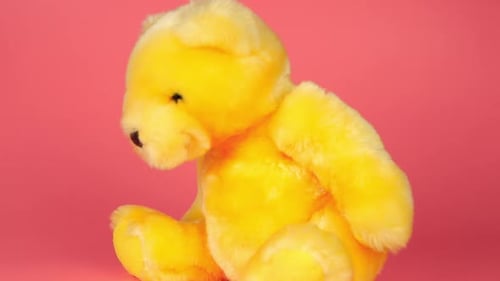 Stuffed and fluffy teddy toy bear falls on a pink background. Slow motion.