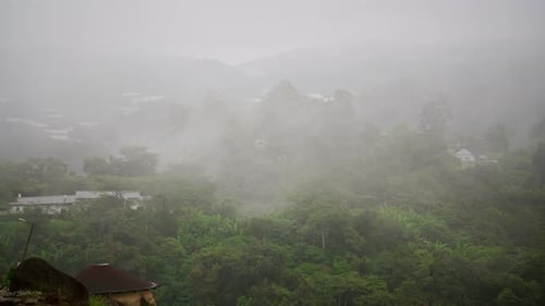 Cloud floating over a village and mountain. Misty fog blowing over tree forest. Raining in forest, s