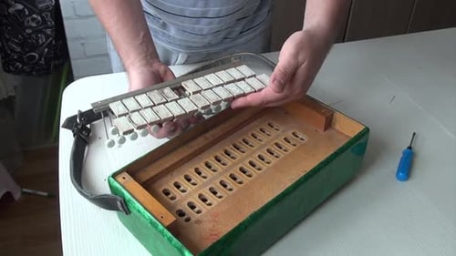 Man Repairs a Green Accordion Musical Instrument