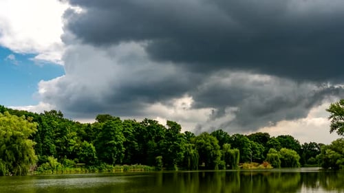 Calm lake in green city park.