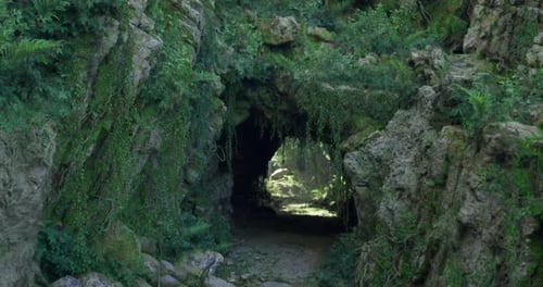 Lush Green Cave Entrance Surrounded By Vibrant Foliage and Rocks