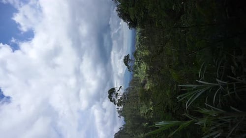 beautiful vertical video portrait natural scenery mountains natural panorama hills, and forest